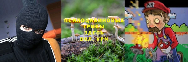 гидра Белоозёрский
