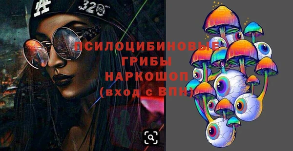 гидра Белоозёрский
