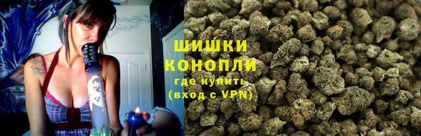 гидра Белоозёрский