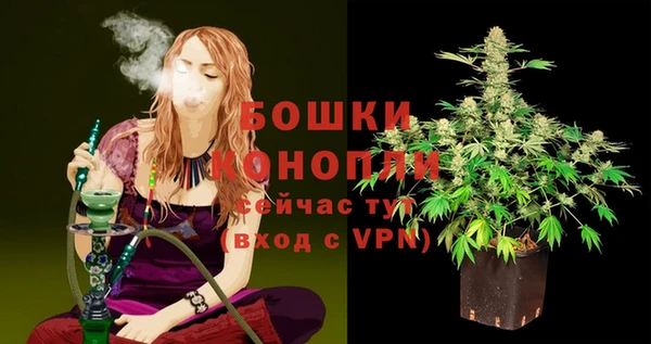 гидра Белоозёрский